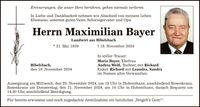 Bayer Max